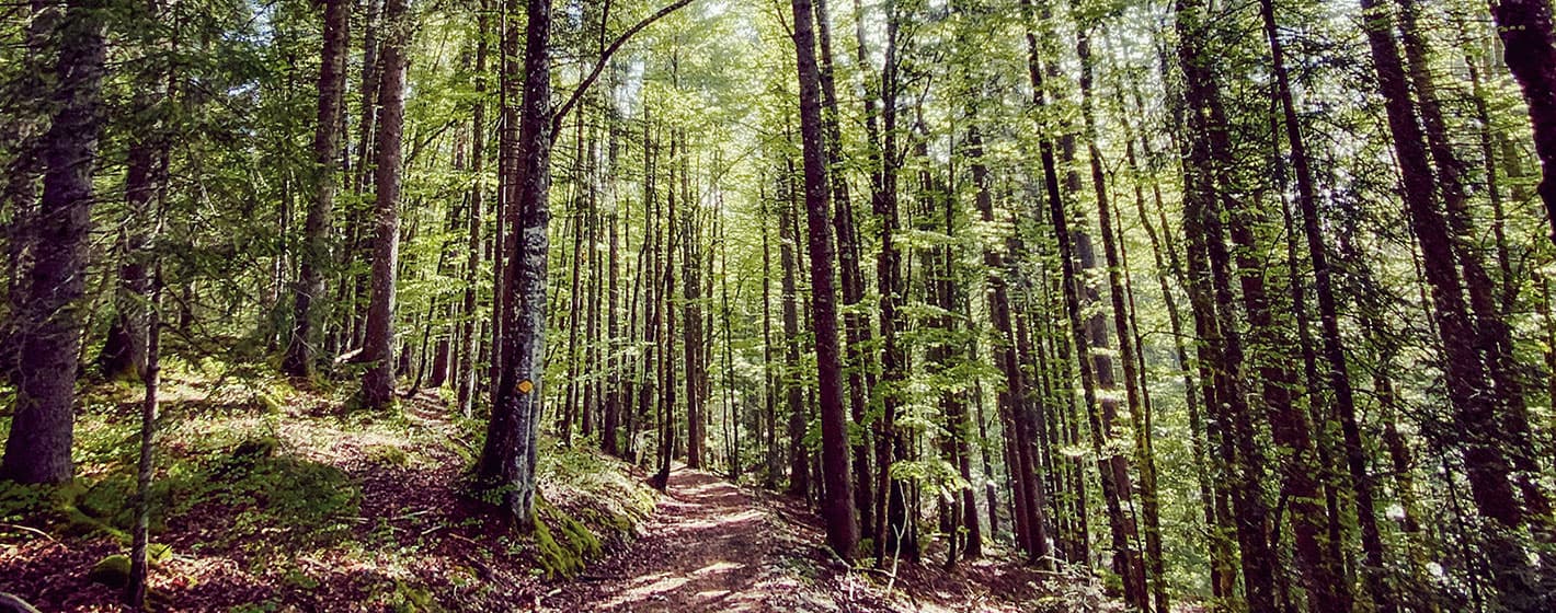 Photo: Céline Renaud