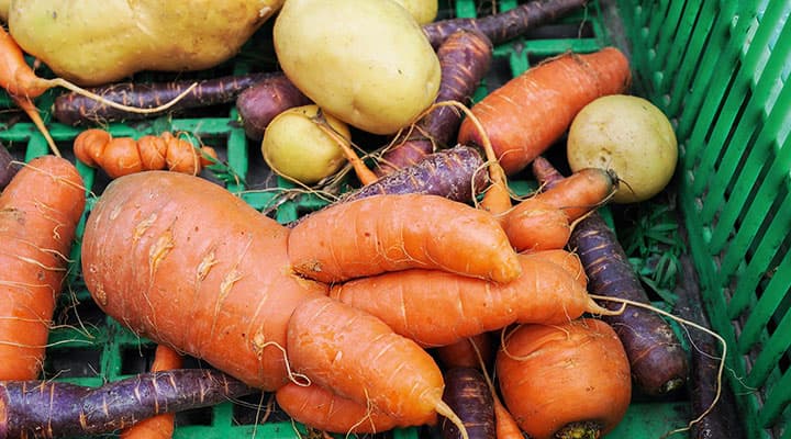 Légumes invendables: pas parfaits, mais délicieux.
